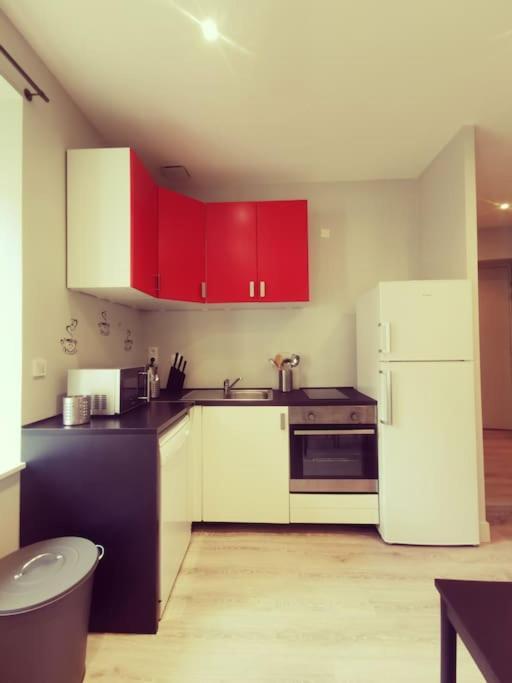 Vienne: Appartement Au Coeur Du Centre Historique Vienne  Bagian luar foto